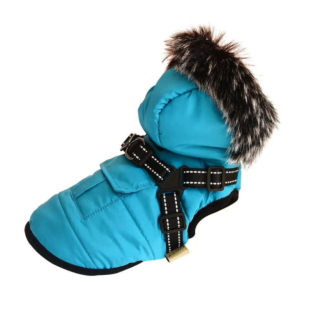 Elegant Winter Fur-Collared Vest